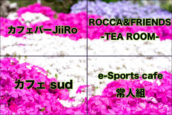 犬塚あさなクイズ