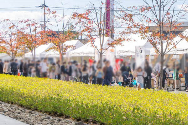 追大20231028133449