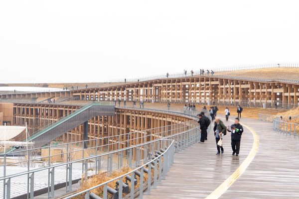 万博20250228154445