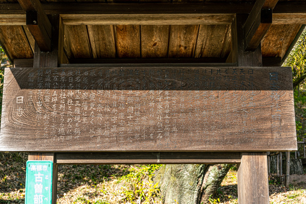 日吉神社-2012113