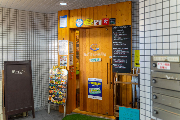 ハワイアン-2101137