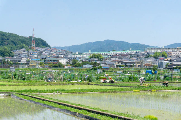 芥川付近20210610112303