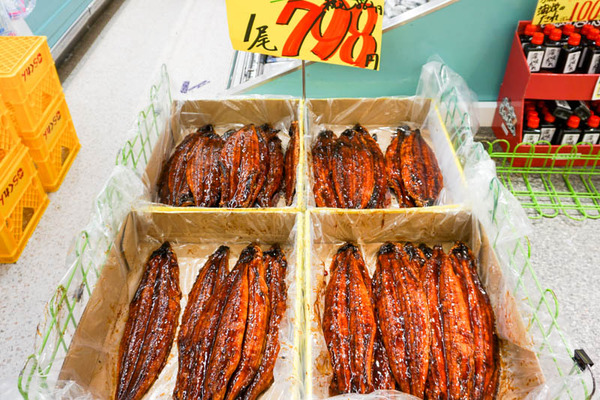 たこ一4-2022012621