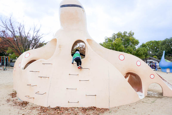 高槻城公園-2021112316