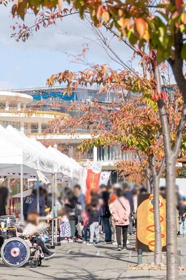 追大20231028133244