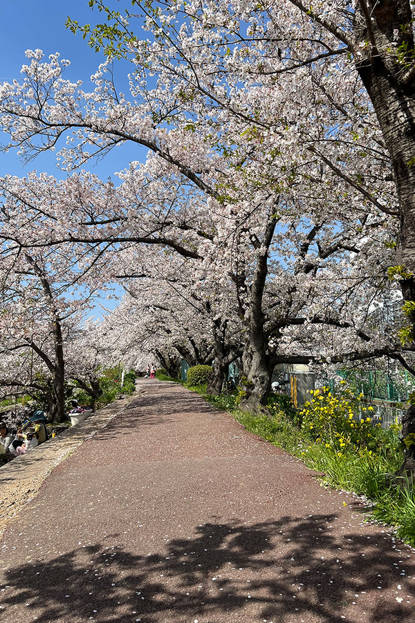 46FB8F73-3121-4EA4-A366-75AEFCE25C03