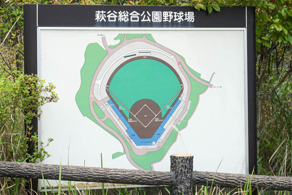 萩谷総合公園-2022061333