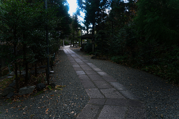 摂津一の宮神社-20122120