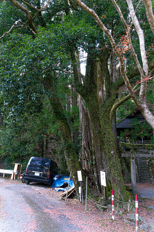 -素盞嗚神社-20121111