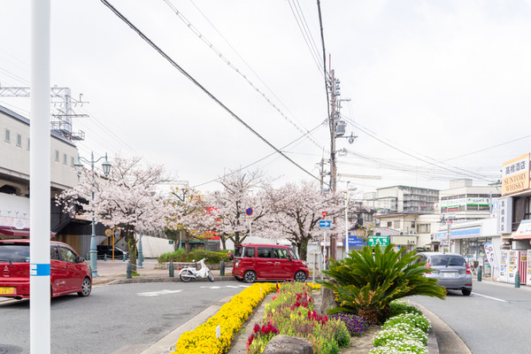 桜-2103293