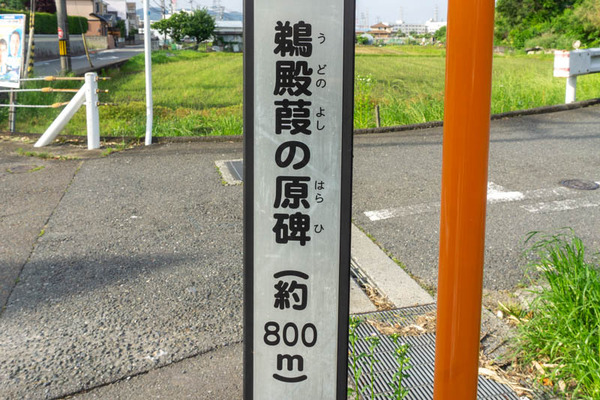 マリトッツォ20210525164638