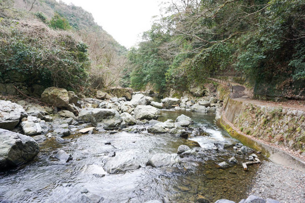 摂津峡公園-20230321109