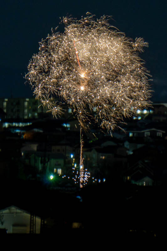 花火20220316192156