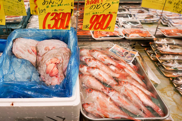 たこ一4-2022011418