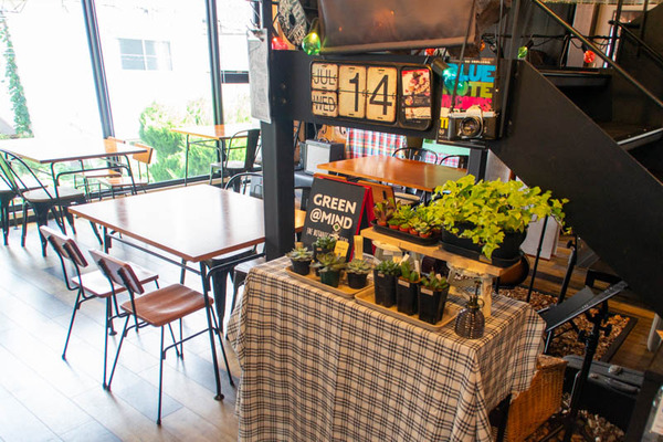 GREEN MIND-202107157