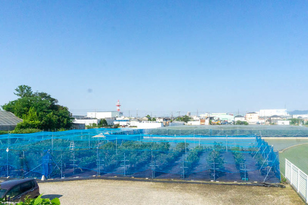 ブルーベリーファーム20210609160238