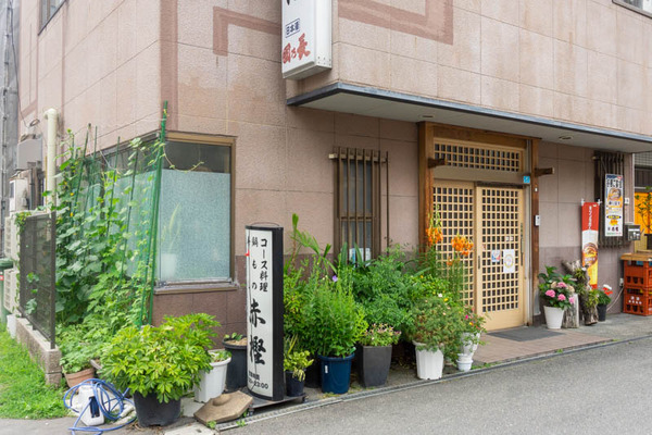 赤鰹20220620122833