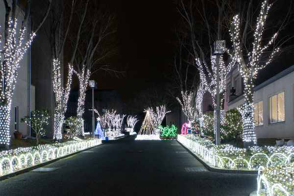 平安イルミ20231214184718