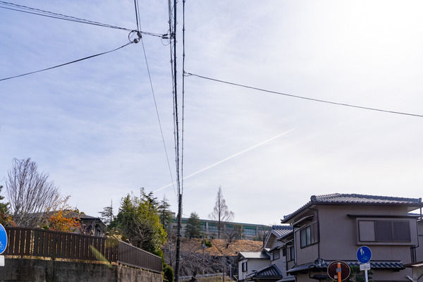 クイズ-2102271