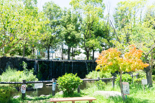せせらぎ公園-2021080518