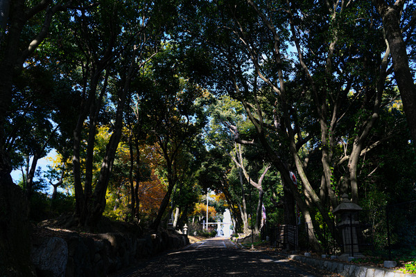 上宮天満宮-2012116