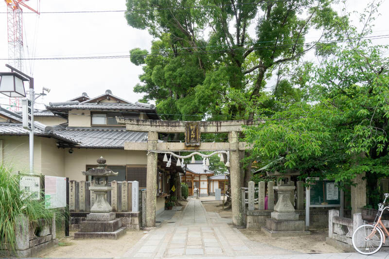 野見神社の花手水と笹飾りの様子 たかつーフォト 高槻つーしん 野見神社の花手水と笹飾りの様子 たかつーフォト 高槻つーしん