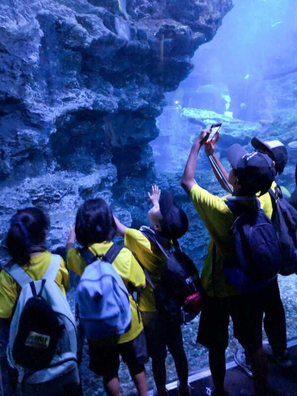 いただいた写真現像済み-2508012