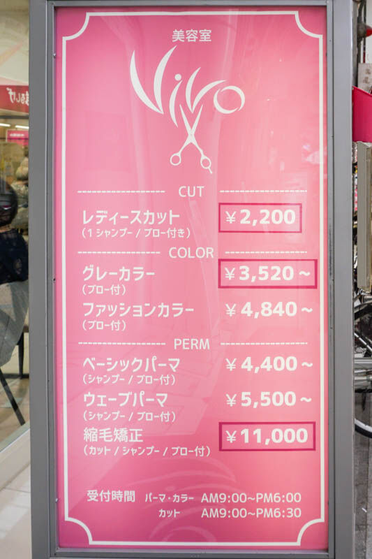 VIVO-202210046