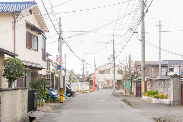 ドラッグコスモス-2101072