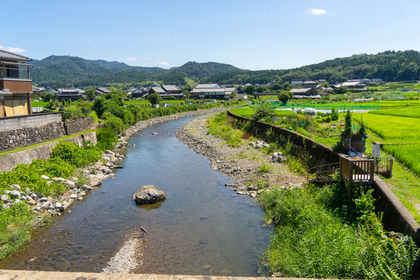 ★芥川・下條橋周辺-2107211