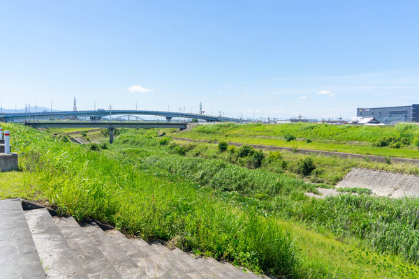 芝生町-2107212