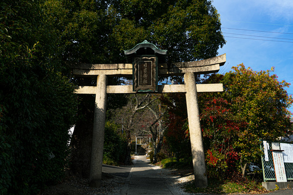 日吉神社-2012111