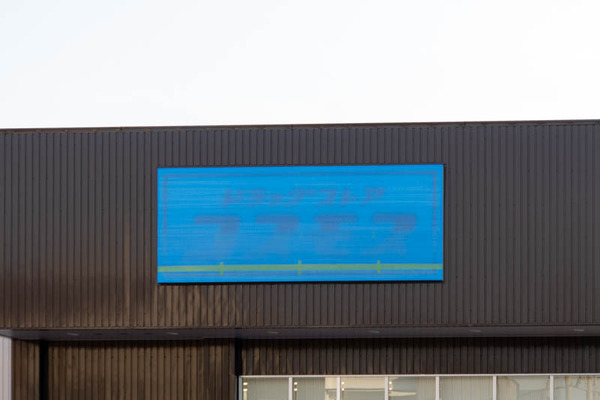 コスモス20260119150710