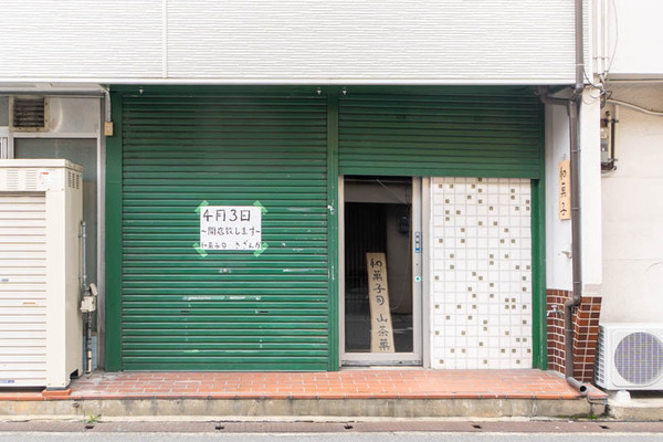 山茶花20250328105741