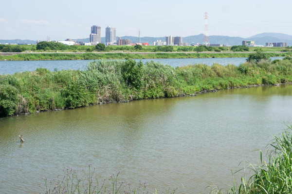 三島江地区河川敷公園-2022060232