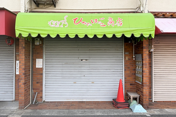 ひなたぼっこ1