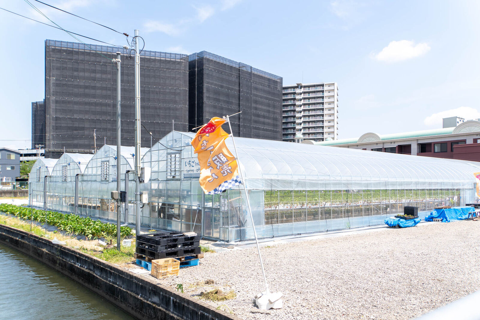 水無瀬駅ちかくに「いちごdeいちえ」っていちご狩り農園ができてる