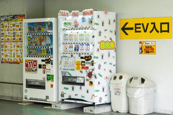 昆虫自販機20230626112915