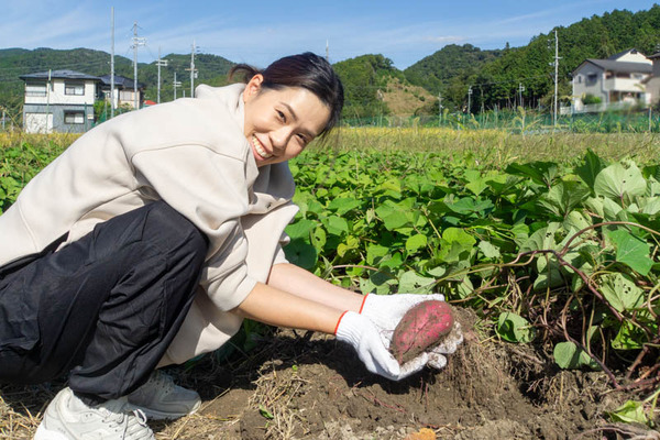 芋掘り20231013132744