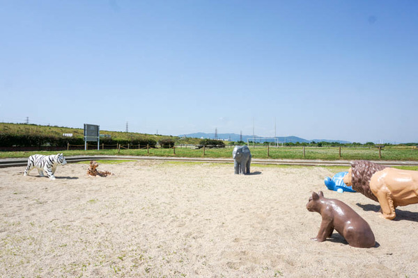 三島江地区河川敷公園-2022060225