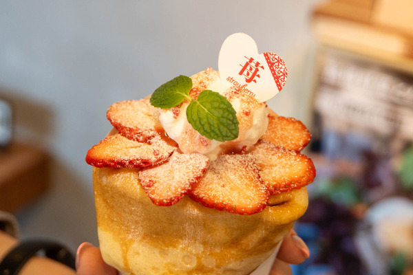 Lilypipika20250327135354