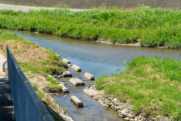 ★安威川・花園河川敷広場-2107215