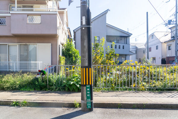 低い-2010271