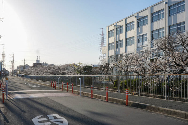 さくら-2023032825