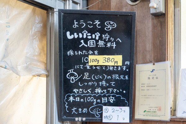 しいたけ狩り20251023101126