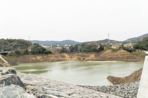 安威川ダム20240402124034