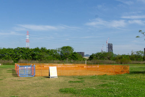 ドッグラン20230428033551