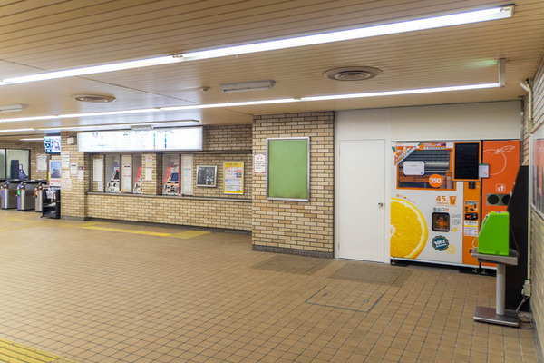 生搾り20240321225751