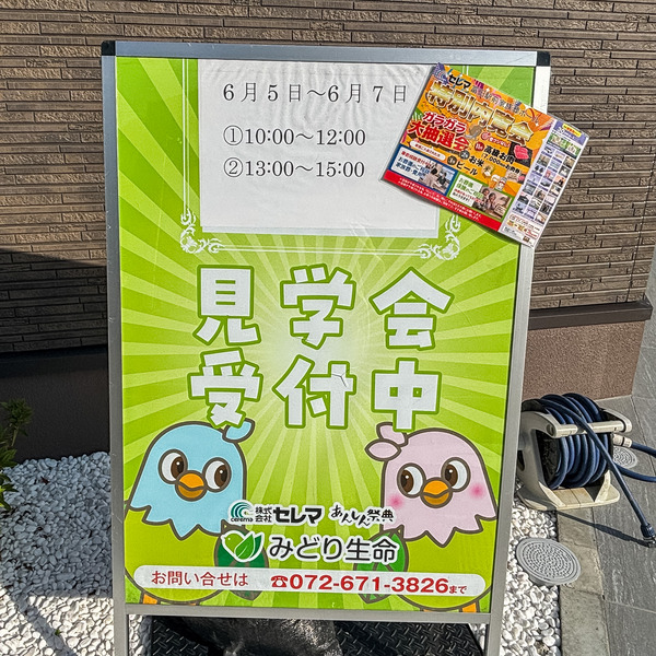 セレマ2