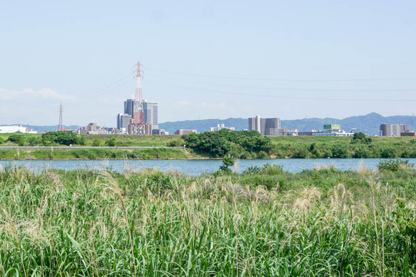 三島江地区河川敷公園-2022060214